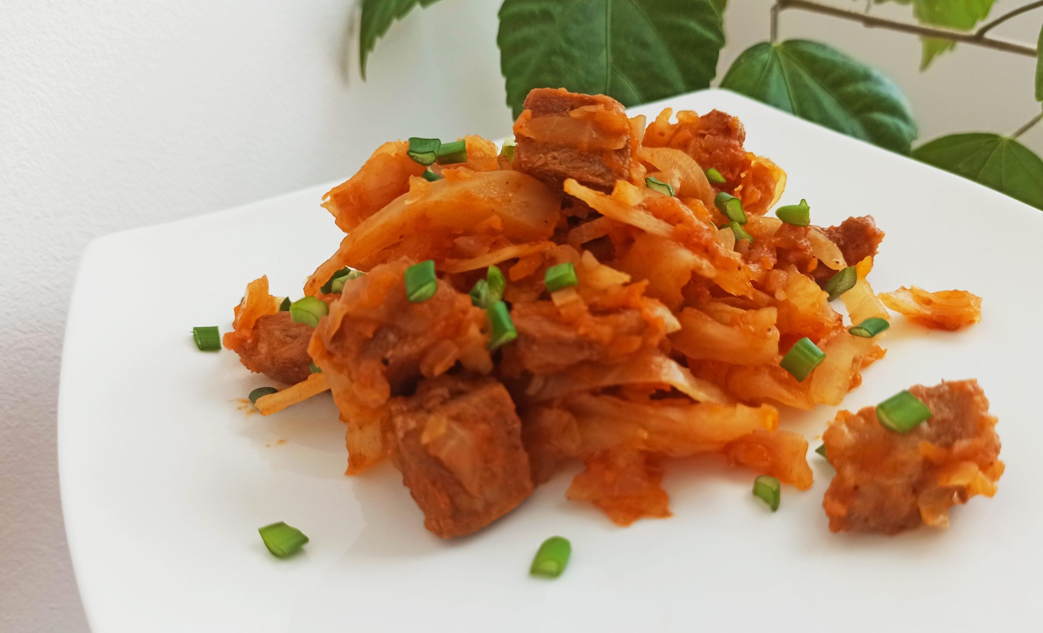 Bigus de varza cu carne