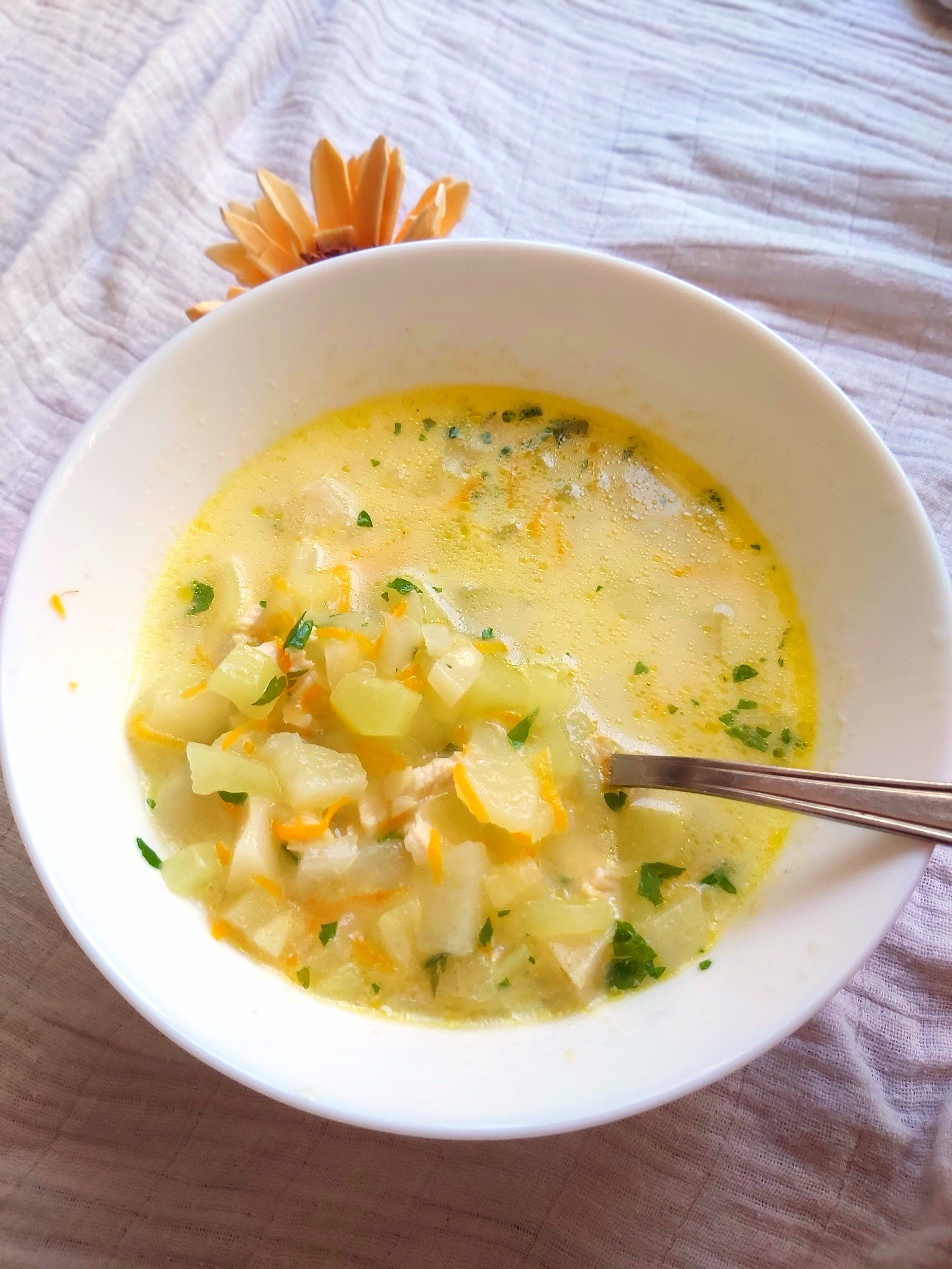 Ciorba de dovlecel si carne de curcan