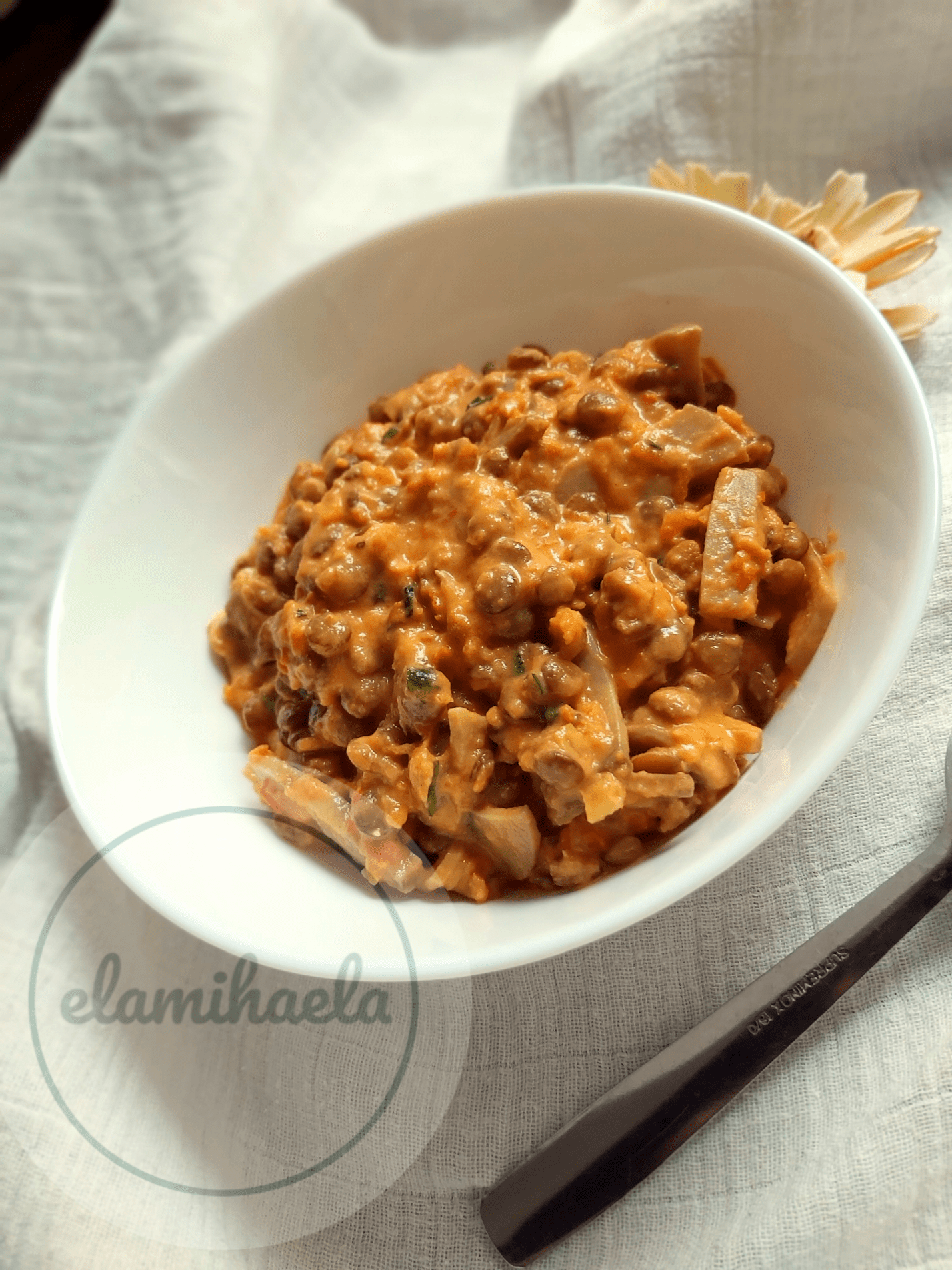 Tocanita de linte cu ciuperci