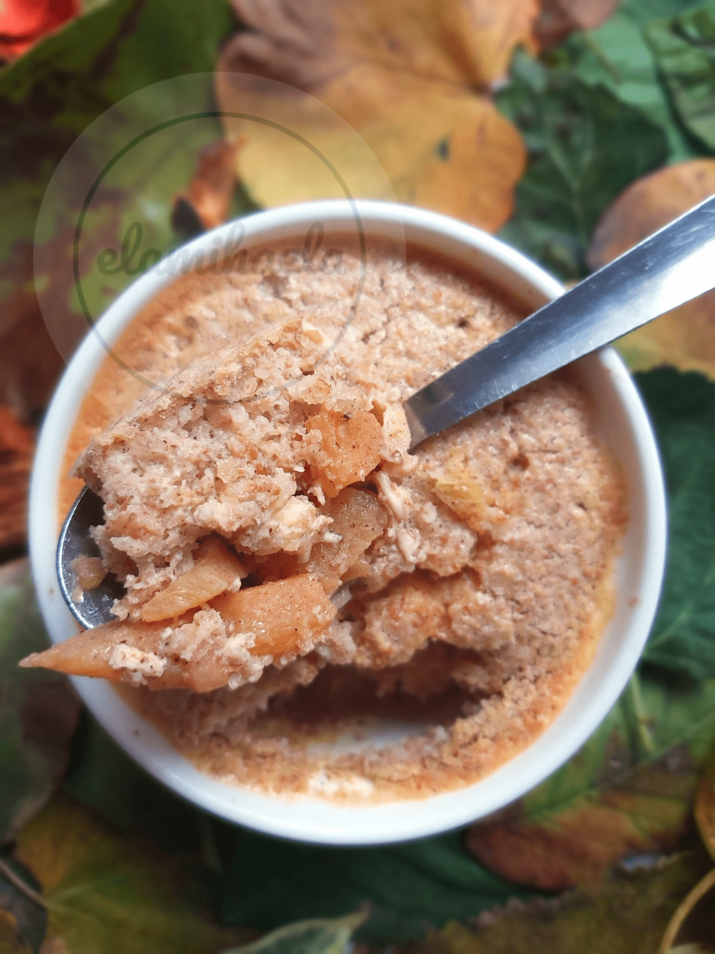 Budinca de biscuiti integrali cu kaki