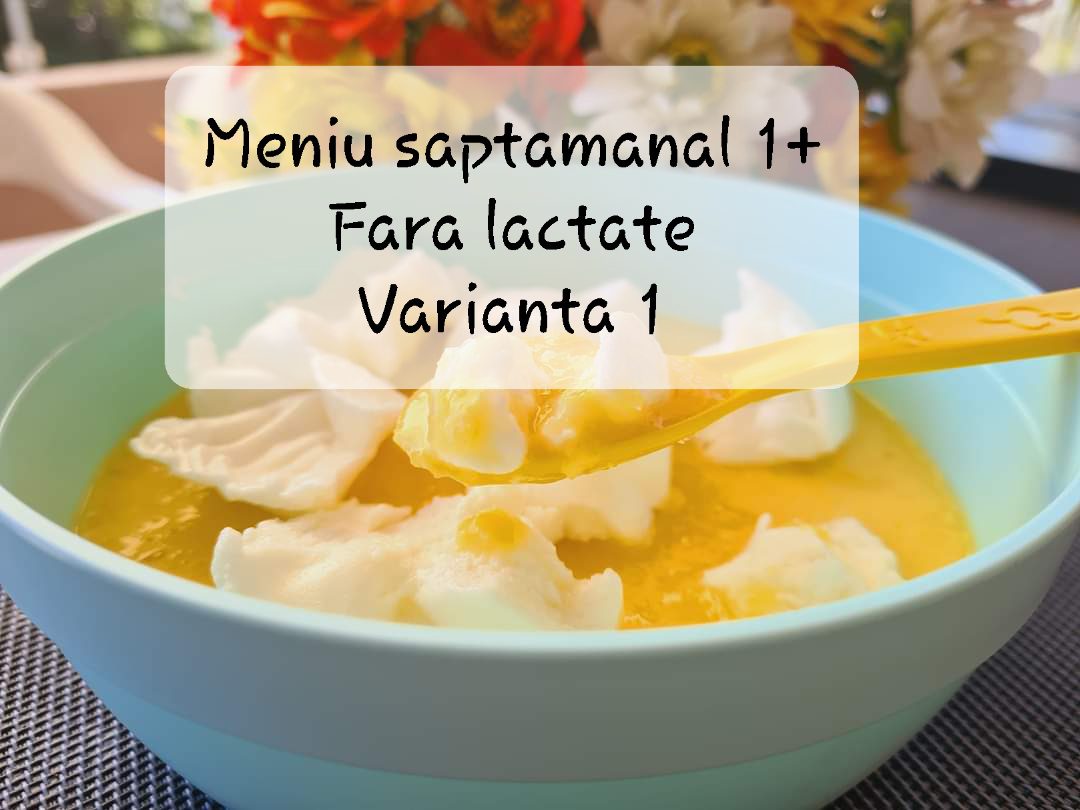 Meniu saptamanal 1+ Fara lactate Varianta 1