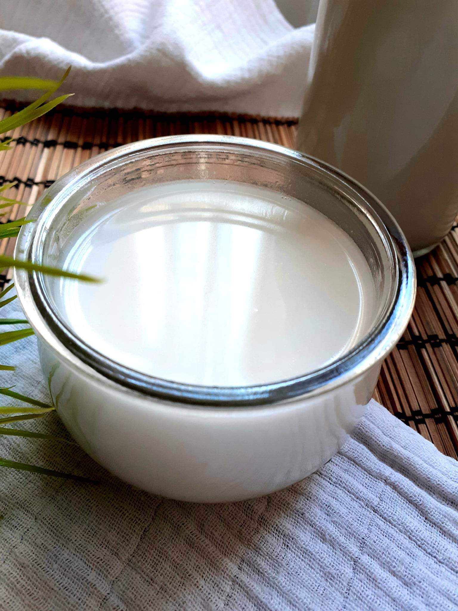 Lapte de cocos