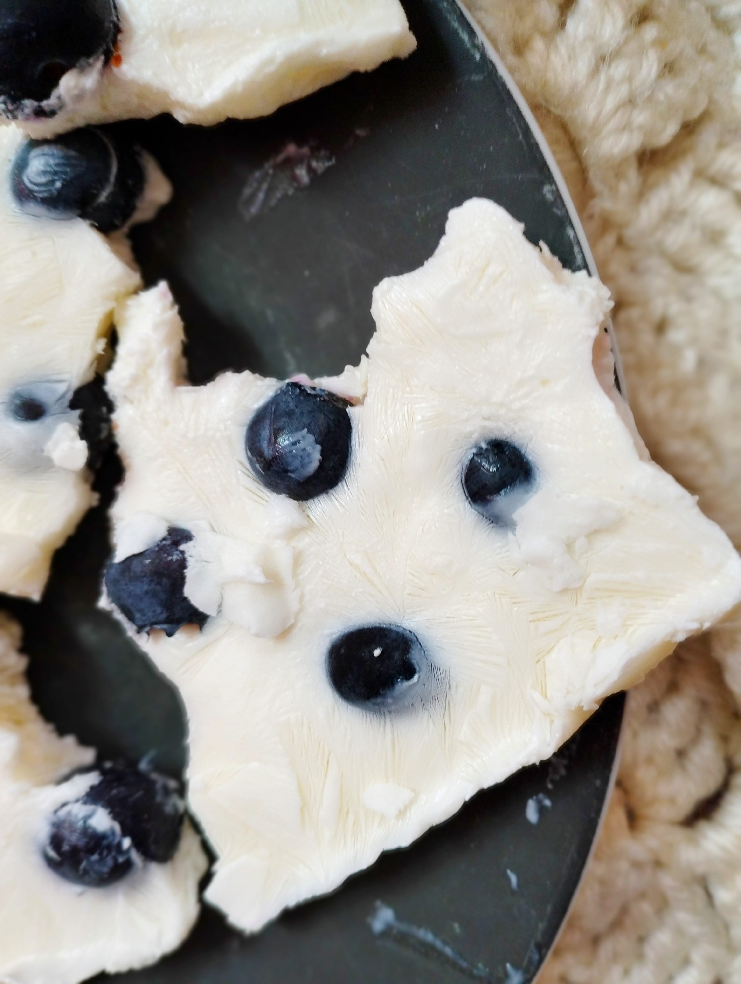 Frozen yogurt bites
