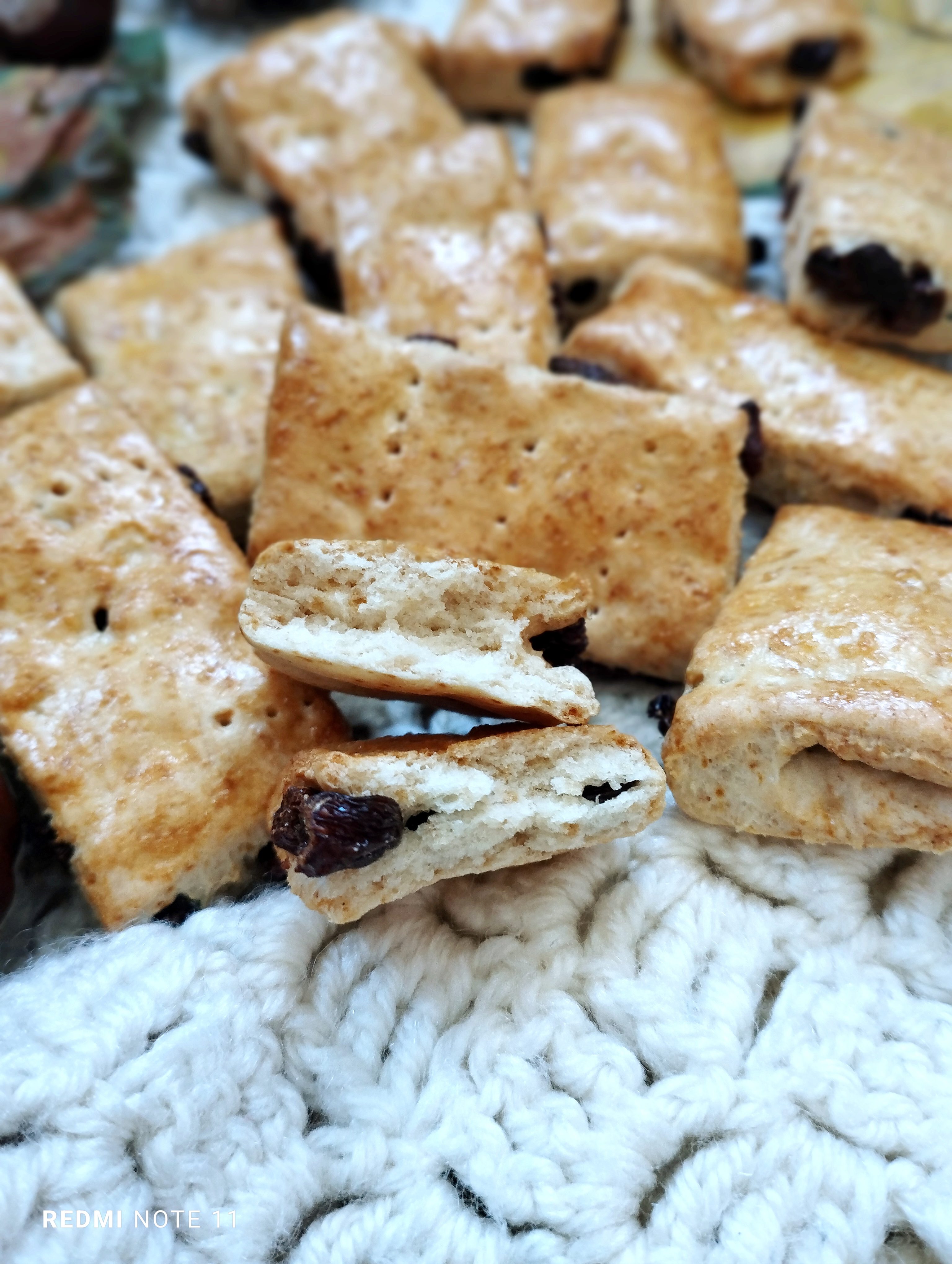 Biscuiti Garibaldi