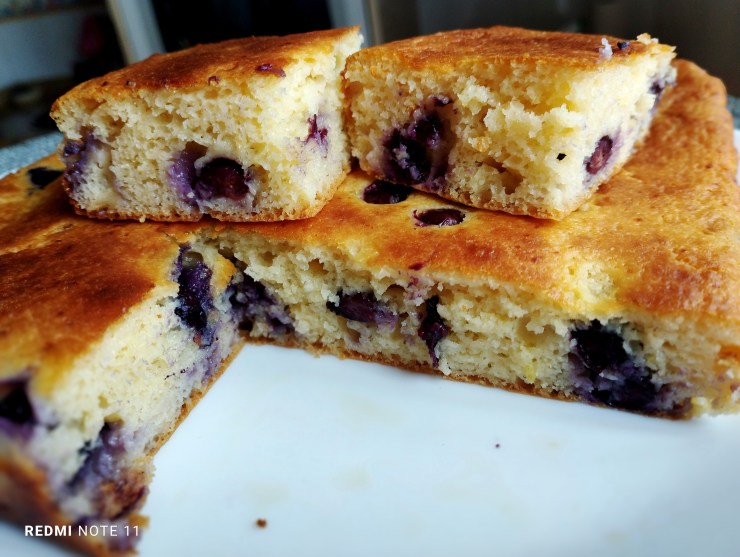 Prajitura cu ricotta si afine