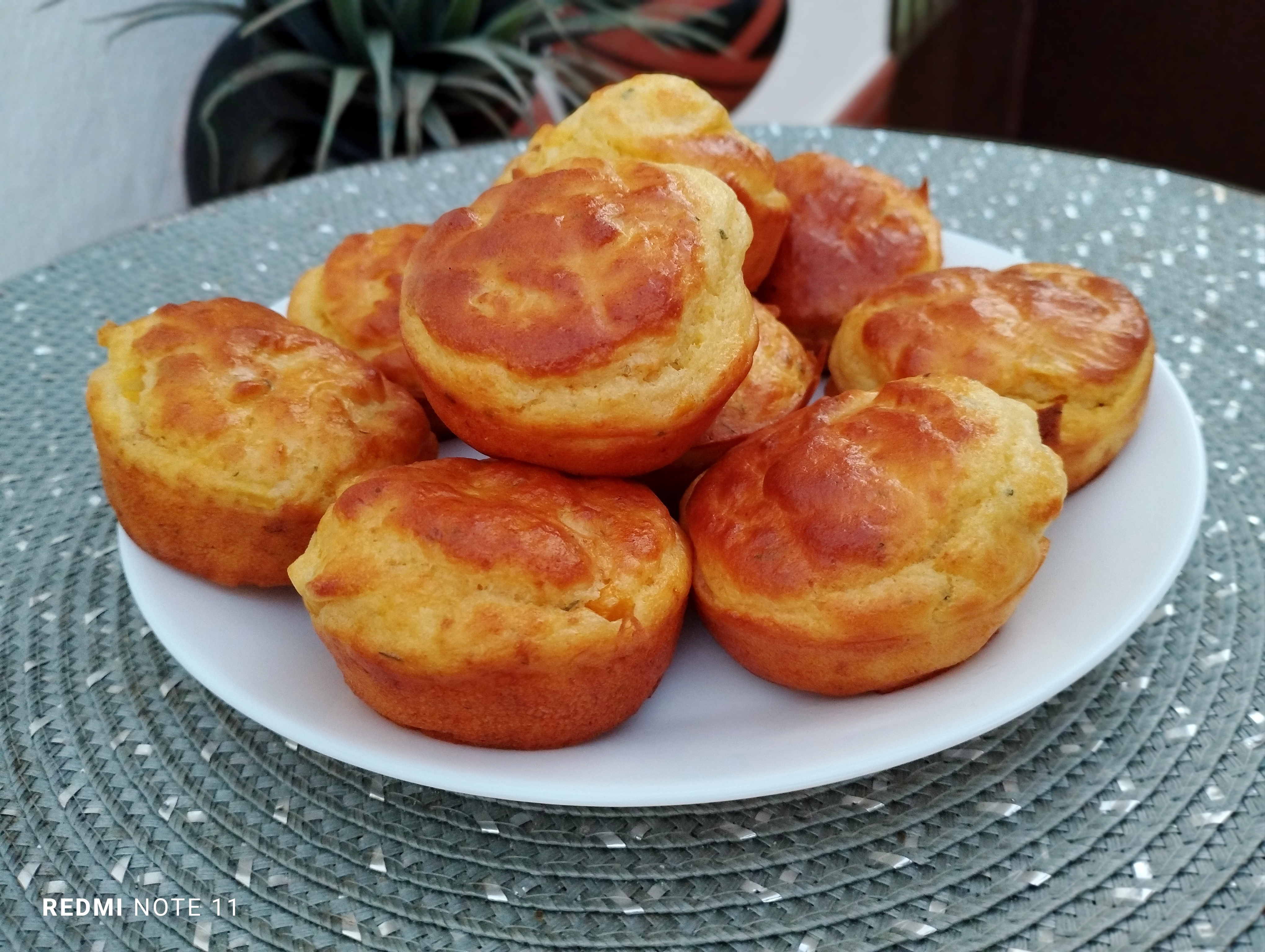 Briose cu cas de oaie si porumb